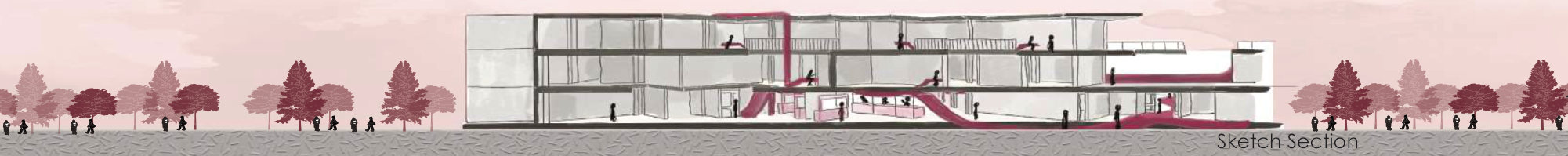 Sketch section through the complex